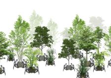 Michaela Hanemann, ›Cyber(-netik) Forest‹ (Skizze), Projektstipendium der Stiftung Kulturwerk der VG Bild-Kunst, interaktive Installation, Material: Roboter, Pflanzen